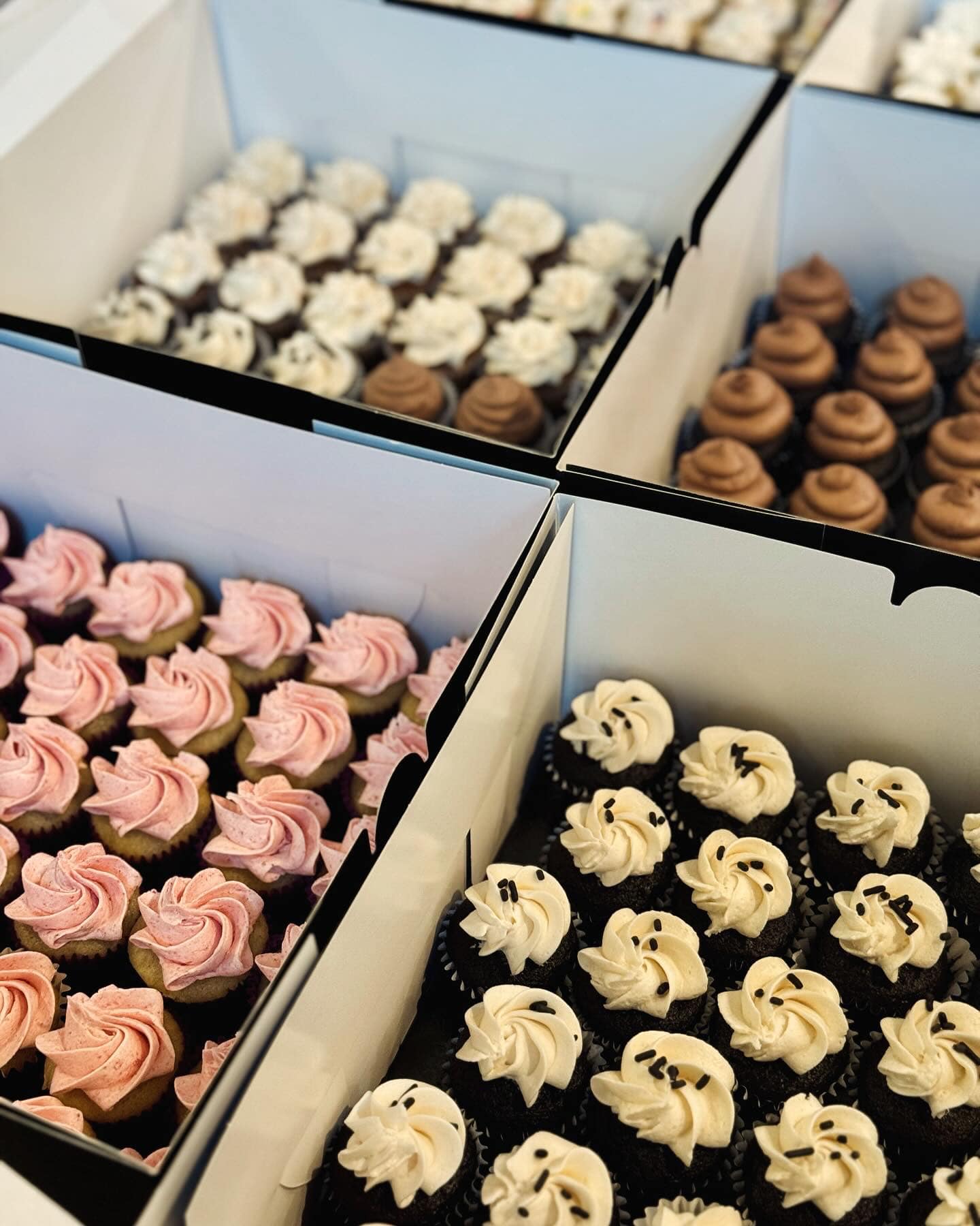 Simply Amazing Treats