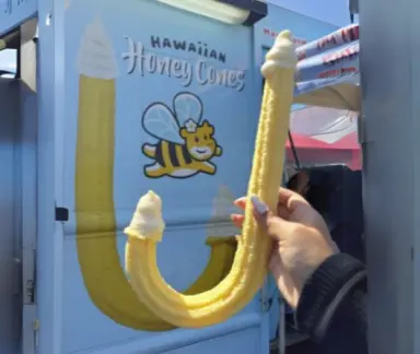 Hawaiian Honey Cones #1