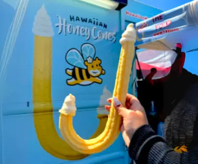 Hawaiian Honey Cones #1